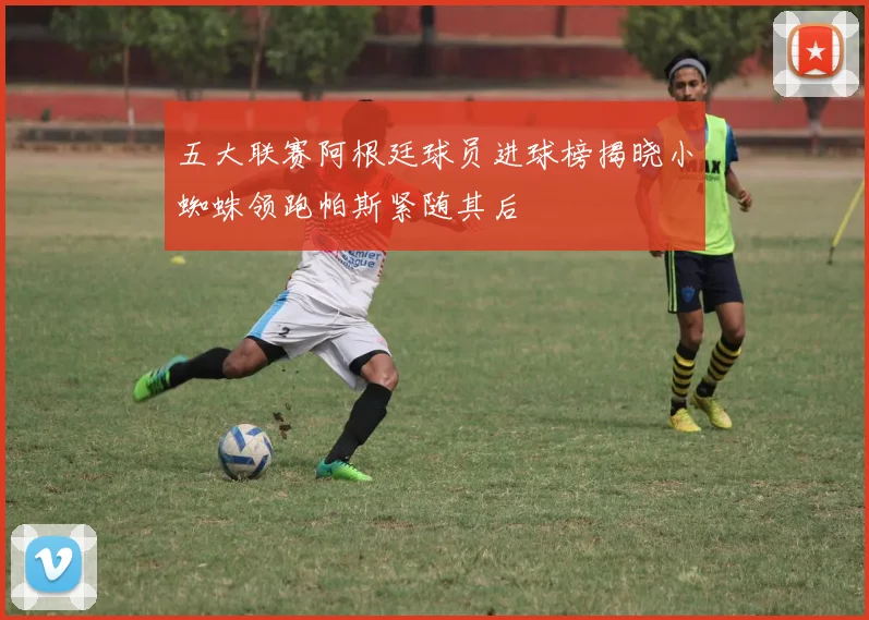 五大联赛阿根廷球员进球榜揭晓小蜘蛛领跑帕斯紧随其后